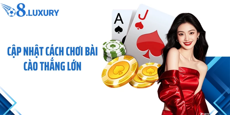 Cách Chơi Bài Cào - Hướng Dẫn Cho Người Chơi Mới Tại O8 4 Cập nhật cách chơi bài cào thắng lớn