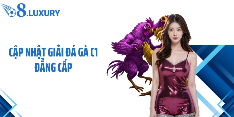 Đá Gà C1 O8 - Chiến Lược Cá Cược Bất Bại Cho Tân Thủ 2 Cập nhật giải đá gà C1 đẳng cấp